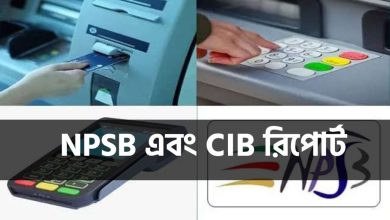 এপিএসবি কি এবং সিআইবি রিপোর্ট বিস্তারিত