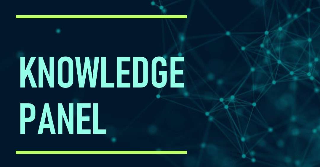 Bing Knowledge Panel and Google Knowledge Panel