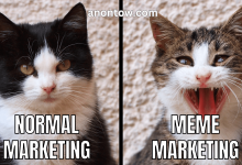 Meme Marketing (What is and How to)