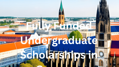 Fully Funded Undergraduate Scholarships in Germany